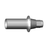 C-008-030001 | ICX-Plastic Abutment  